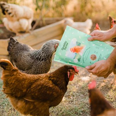 Show full view: Grubbly Farms Grubblies Oven-Dried Non-GMO Black Soldier Fly Grubs Chicken Treats, 1-lb bag slide 4 of 5