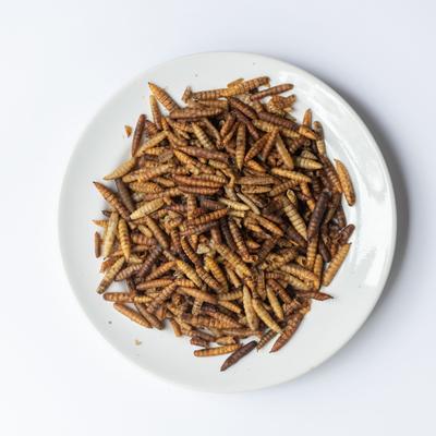 Show full view: Grubbly Farms Grubblies Oven-Dried Non-GMO Black Soldier Fly Grubs Chicken Treats, 5-lb bag slide 3 of 5