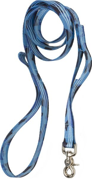 West Paw Outings Polyester Dog Leash, Blue Groove, 5-ft long, 1-in wide slide 1 of 4