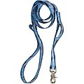 West Paw Outings Polyester Dog Leash, Blue Groove, 5-ft long, 1-in wide