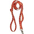 West Paw Outings Polyester Dog Leash, Zebra Firel, 5-ft long, 1-in wide