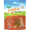 Emerald Pet Pumpkin Harvest Oven Baked with Sweet Potato Chicken-Free Dog Treats, 6-oz bag