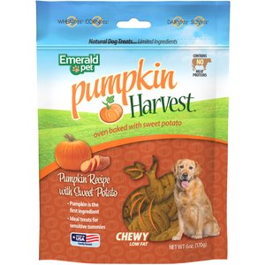 Emerald Pet Pumpkin Harvest Oven Baked with Sweet Potato Chicken-Free Dog Treats, 6-oz bag