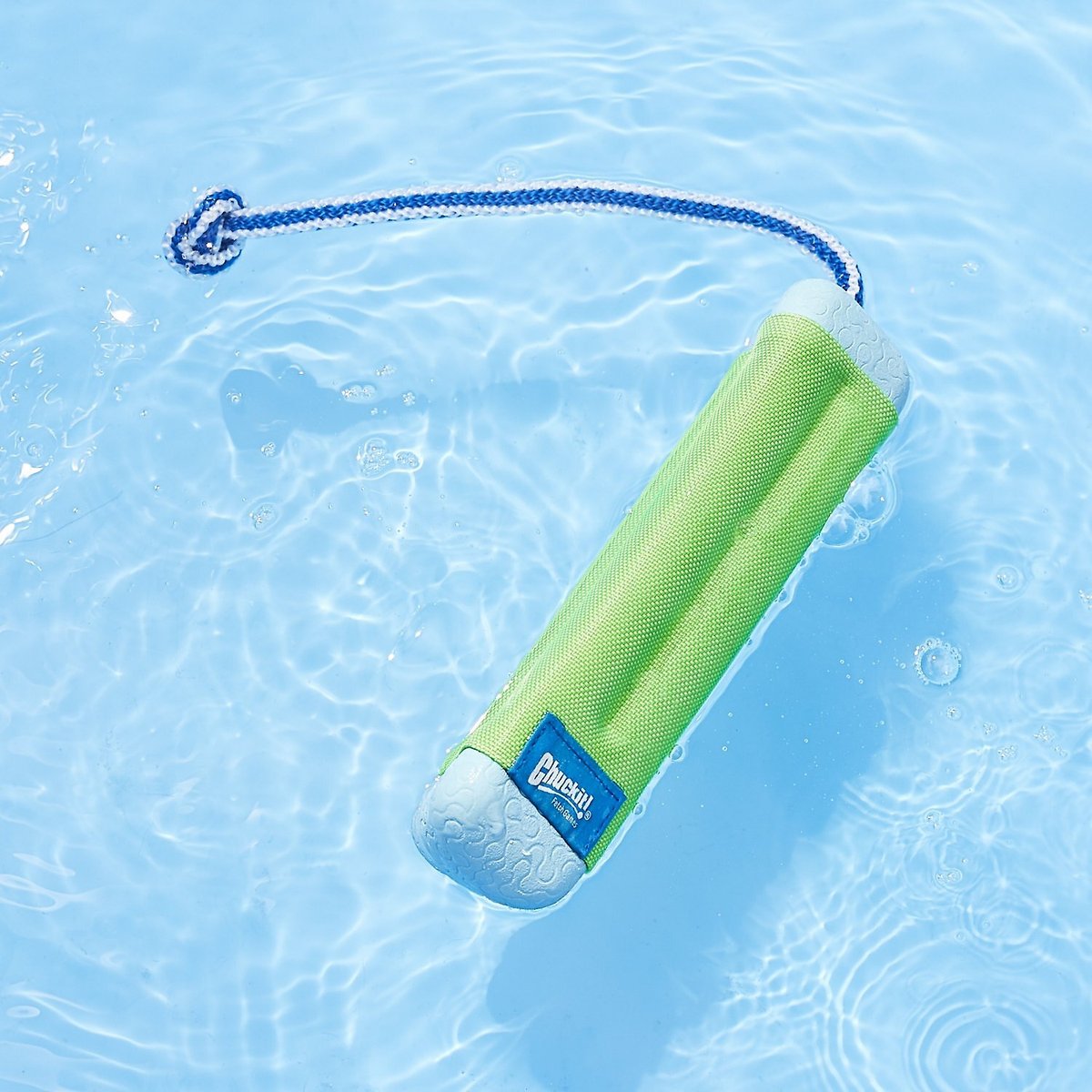 CHUCKIT! Amphibious Fetch Dog Toy Kit - Chewy.com