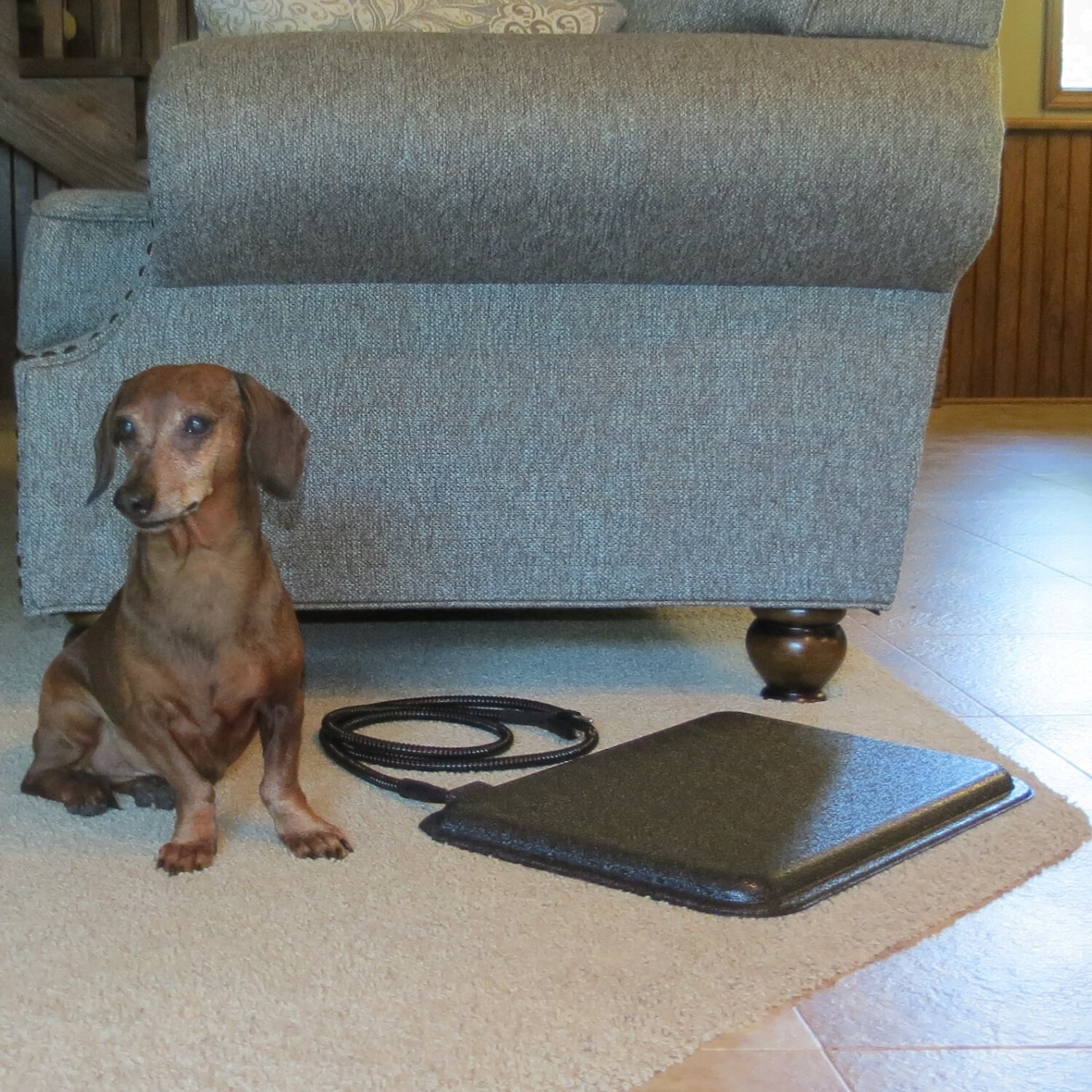 DOG PALACE Dog House Heater, Black, Small