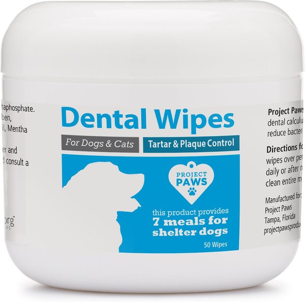 Project Paws Dog & Cat Dental Wipes, 50 count slide 1 of 8