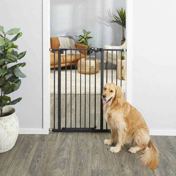 Frisco Steel Extra Tall Auto-Close Dog Gate, 41-in, Black slide 1 of 7