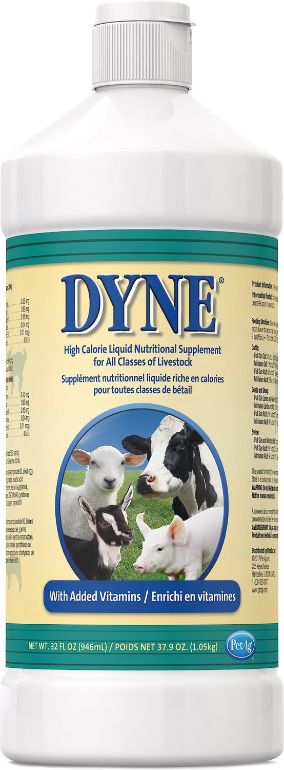 PETAG Dyne Liquid Livestock Supplement, - Chewy.com