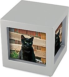 A Pet's Life Pet Photo Cube, Small