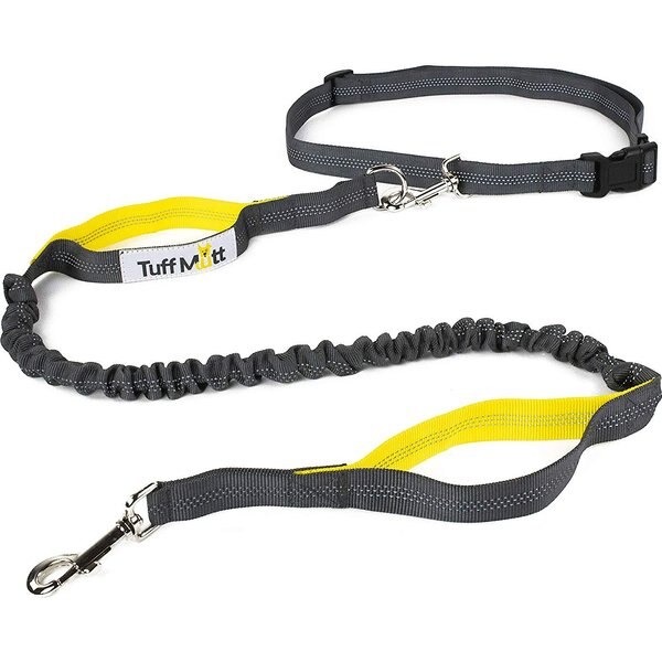TUFF MUTT HandsFree Bungee Leash, Gray & Blue