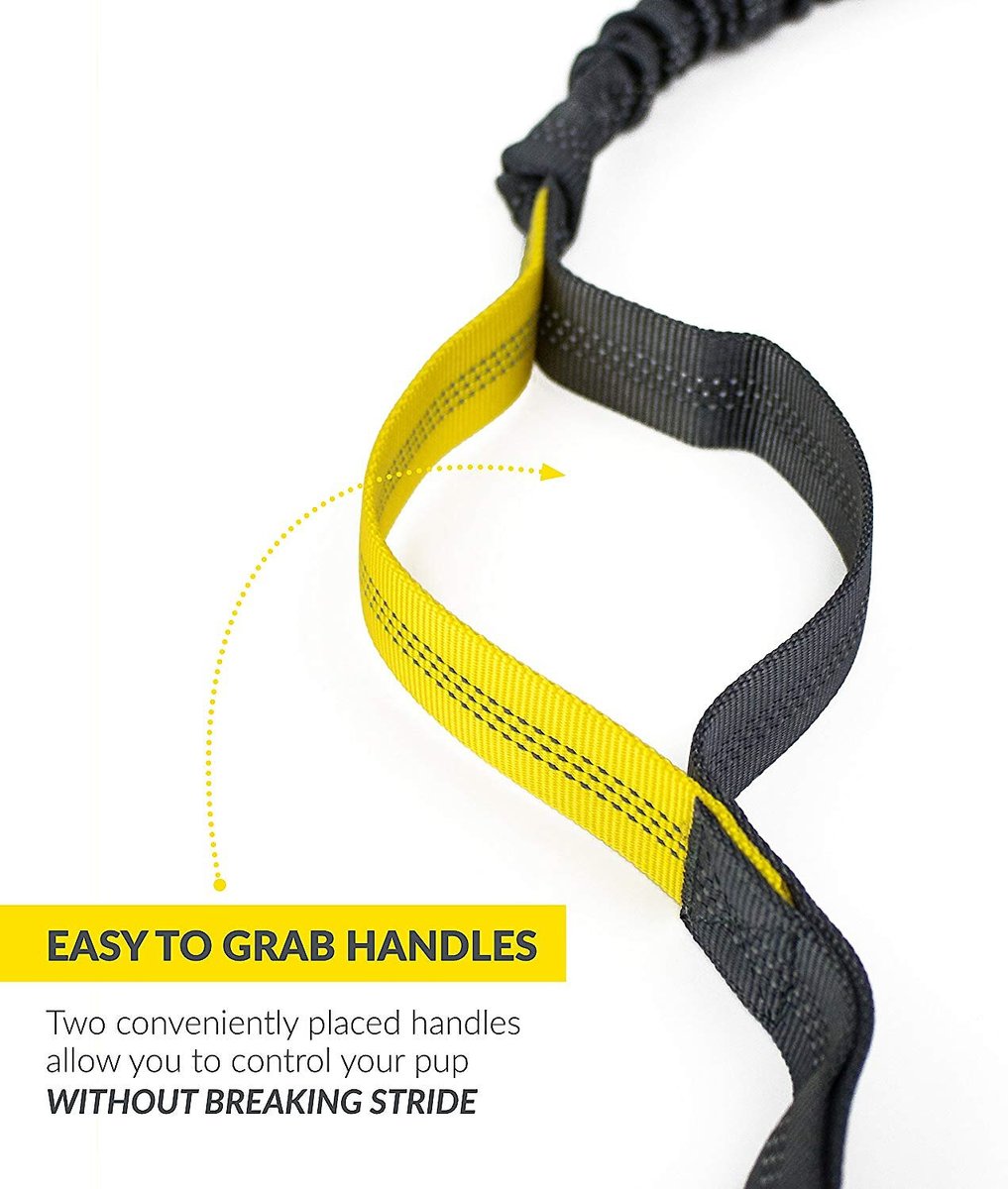 TUFF MUTT Hands Free Bungee Dog Leash, Gray/Yellow