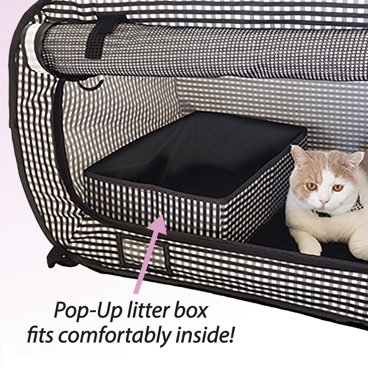 Pet carrier with litter sales box