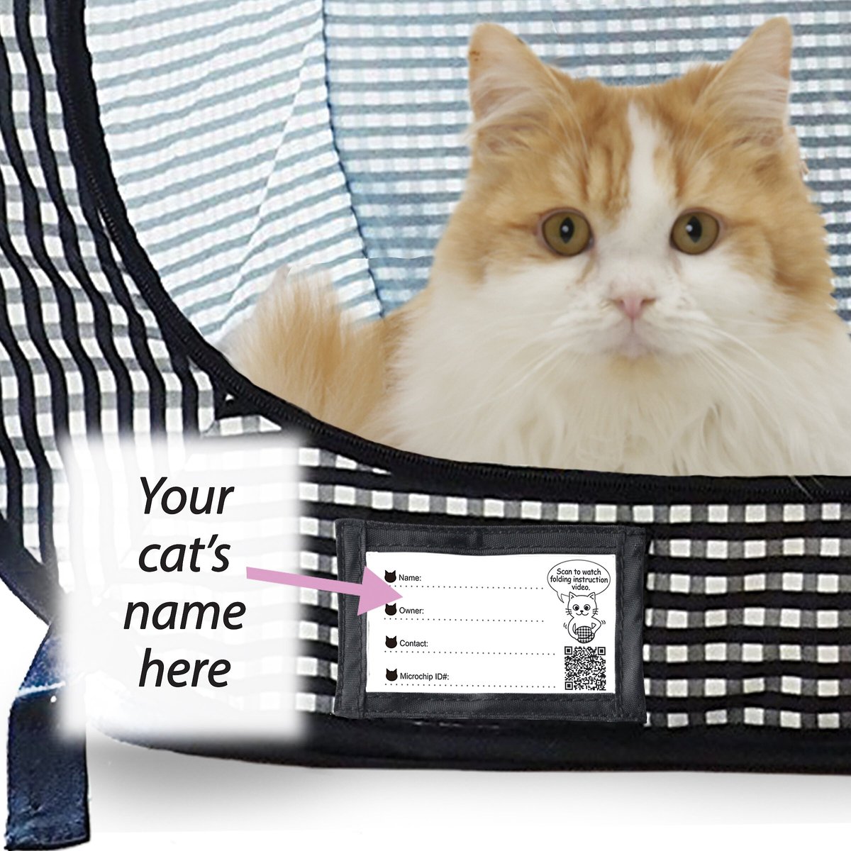 Cat carrier 2025 litter box combo