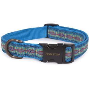 Pendleton Diamond River Nylon Dog Collar, Turqouise, Small: 10 to 14-in neck, 3/4-in wide