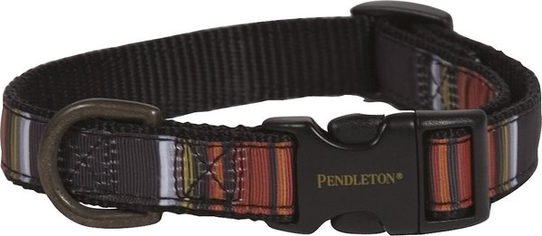 PENDLETON Acadia National Park Nylon Dog Collar, Medium: 14 to 18-in ...