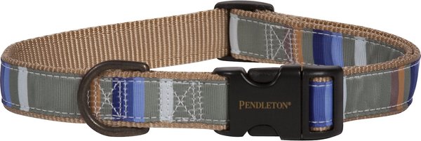 Pendleton Rocky Mountain National Park Nylon Dog Collar, Medium: 14 to 18-in neck, 3/4-in wide slide 1 of 5