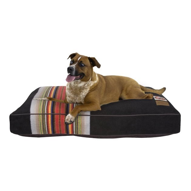 Pendleton Acadia National Park Pillow Dog Bed W Removable Cover, Medium 