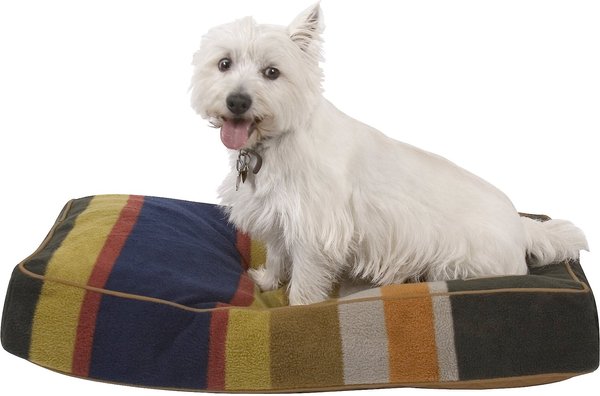 Pendleton Badlands National Park Pillow Dog Bed w/Removable Cover, Medium slide 1 of 6