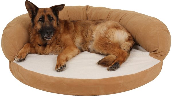 Carolina Pet Orthopedic Sleeper Bolster Dog Bed w/Removable Cover, Saddle, Large slide 1 of 5