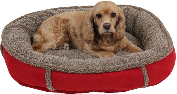 Carolina Pet Comfy Cup Memory Foam Bolster Dog Bed w/Removable Cover, Red, Small slide 1 of 5