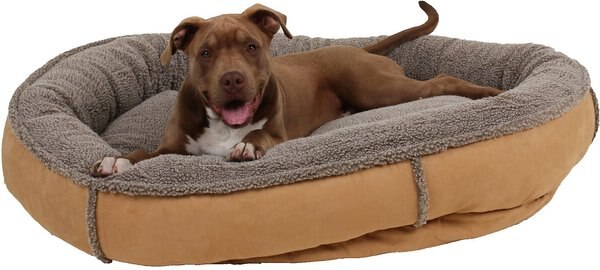Carolina Pet Comfy Cup Memory Foam Bolster Dog Bed w/Removable Cover, Saddle, Large slide 1 of 5