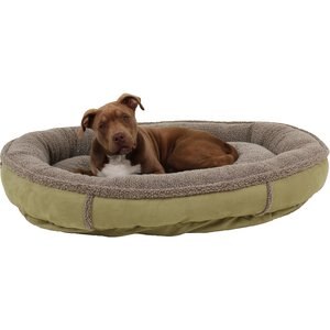 Carolina Pet Comfy Cup Memory Foam Bolster Dog Bed w/Removable Cover, Sage, Large