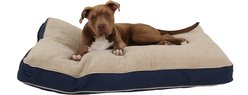 Carolina Pet Four Season Jamison Memory Foam Pillow Dog Bed with Removable Cover, Blue, Medium