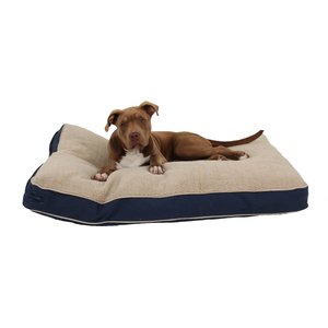 Carolina Pet Four Season Jamison Memory Foam Pillow Dog Bed with Removable Cover, Blue, Medium
