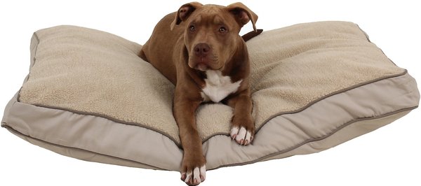 Carolina Pet Four Season Jamison Memory Foam Pillow Dog Bed w/Removable Cover, Khaki, Medium slide 1 of 6
