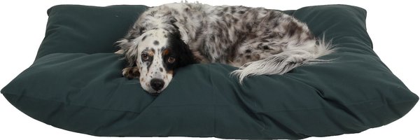 Carolina Pet Solid Shebang Indoor & Outdoor Pillow Dog Bed, Green, Medium slide 1 of 5