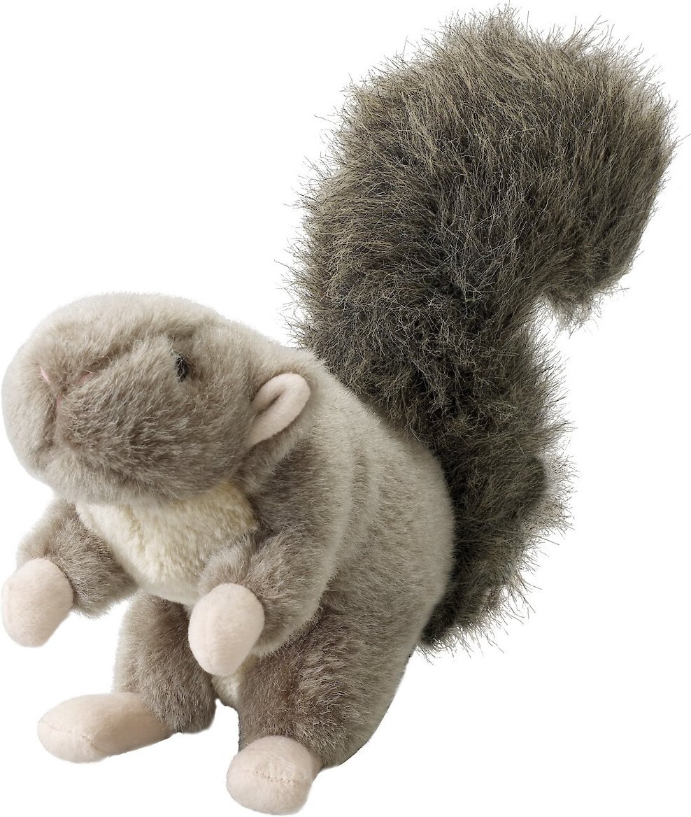 dog toy squirrel squeaker