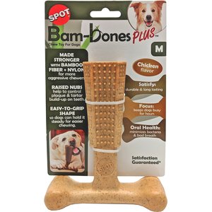 Woof & Whiskers Rubber Treat Tube Dog Toy - Shop Chew Toys at H-E-B