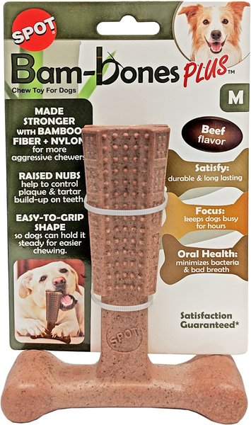 Ethical Pet Bam-bones Plus Beef Tough Dog Chew Toy, 6-in slide 1 of 1
