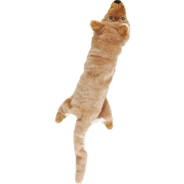 Multipet Migrators Water Bottle Dog Toy