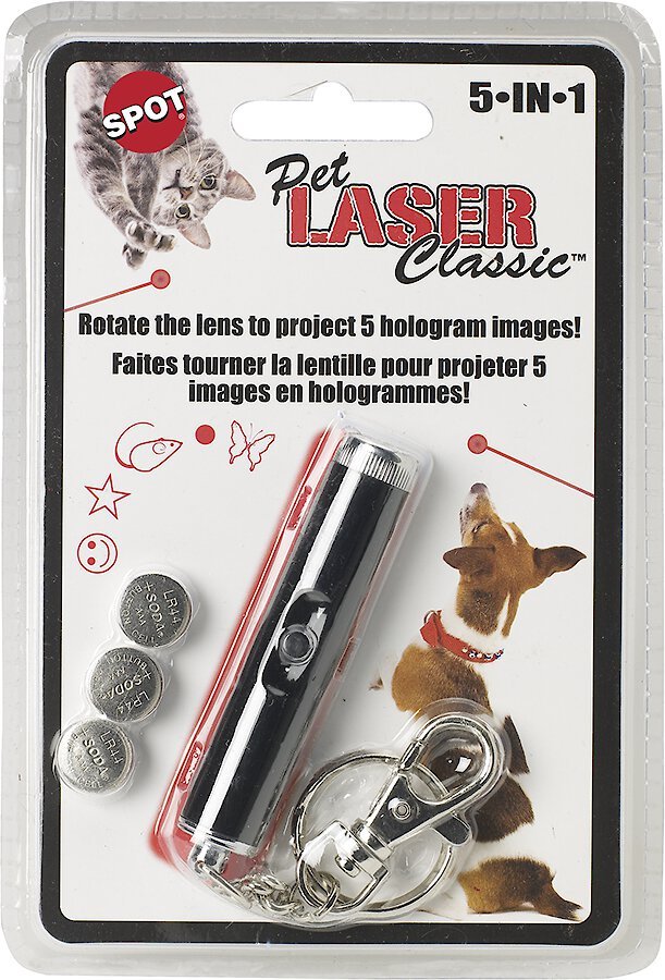 Pet laser best sale