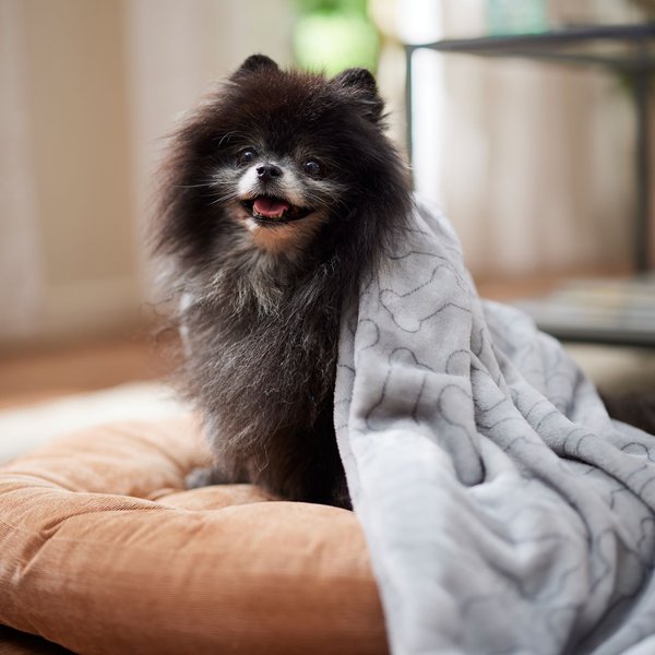 Ethical Pet Snuggler Patterned Dog Blanket, Gray, 40-in slide 1 of 4