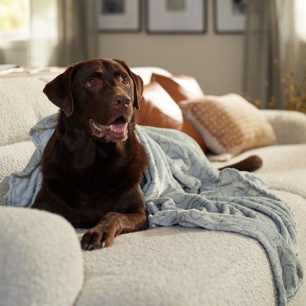 Ethical Pet Snuggler Patterned Dog Blanket, Gray, 60-in slide 1 of 4