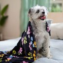 Ethical Pet Snuggler Patterned Dog Blanket, Black, 40-in