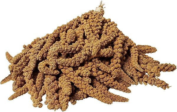 Brown's Tropical Carnival Golden Millet Spray Bird Treat, 5-lb box slide 1 of 2