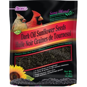 Brown's Song Blend Dark Oil Sunflower Seeds Bird Food, 10-lb bag