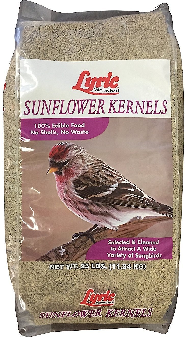 LYRIC Sunflower Kernels Wild Bird Food, 25lb bag