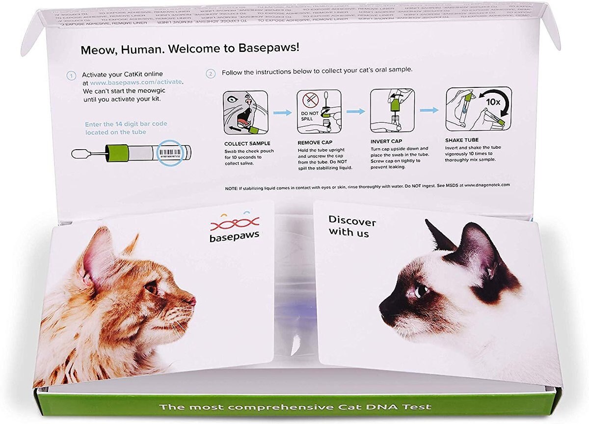 BASEPAWS Breed + Health DNA Test for Cats
