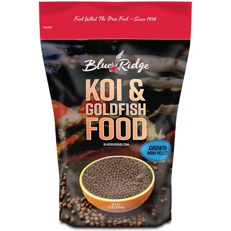 Daphnia Fish Food (Free Shipping) | Chewy