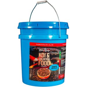 BLACKWATER PREMIUM KOI AND GOLDFISH FOOD Max Growth Large Pellet