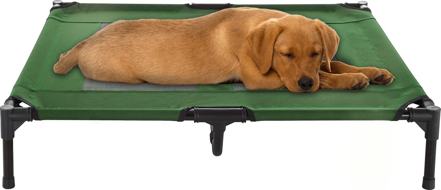 PETMAKER Elevated Dog Bed, Green, Large