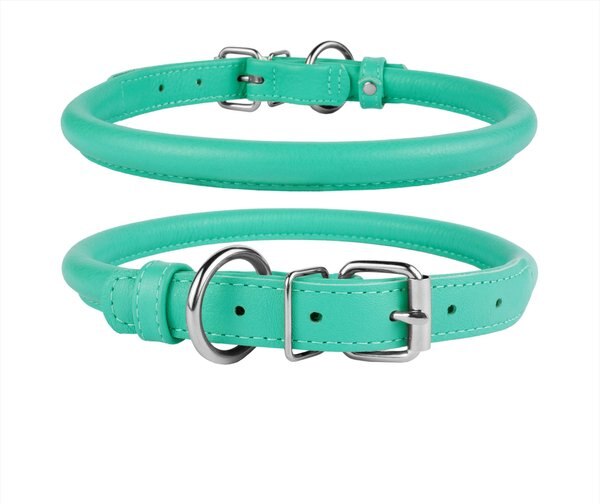 CollarDirect Rolled Leather Dog Collar, Mint Green, X-Small: 7 to 8-in neck, 3/8-in wide slide 1 of 4