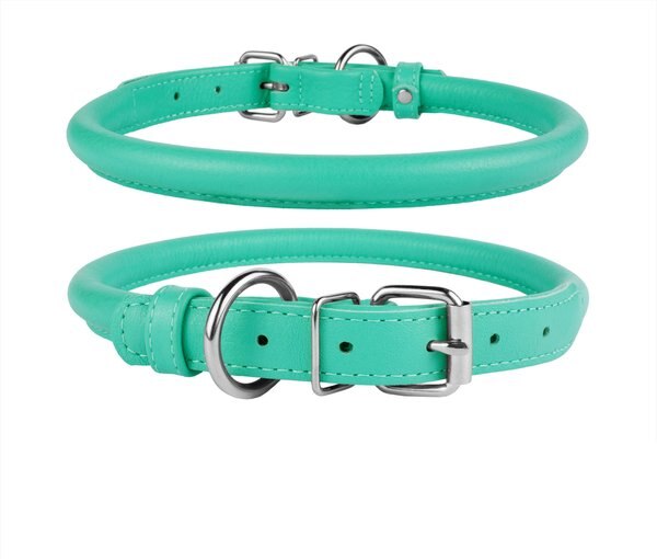 CollarDirect Rolled Leather Dog Collar, Mint Green, Small: 9 to 11-in neck, 3/8-in wide slide 1 of 3