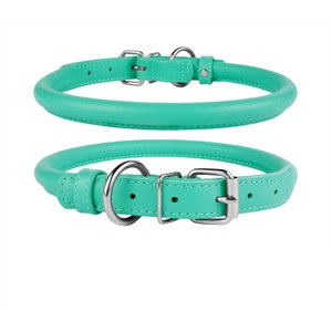 CollarDirect Rolled Leather Dog Collar, Mint Green, Small: 9 to 11-in neck, 3/8-in wide