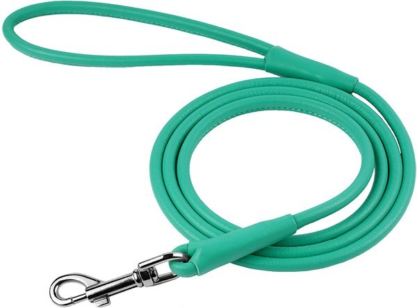 CollarDirect Rolled Leather Dog Leash, Mint Green, Small: 6-ft long, 1/4-in wide slide 1 of 3