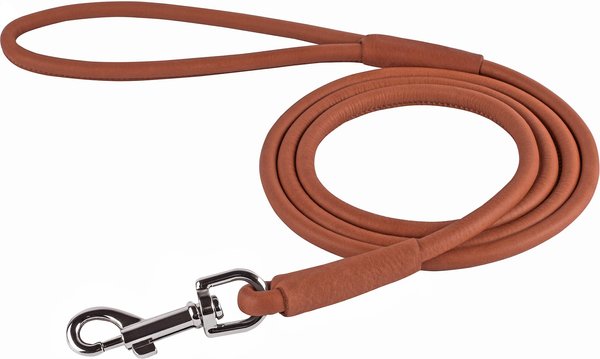 CollarDirect Rolled Leather Dog Leash, Brown, Medium: 6-ft long, 5/16-in wide slide 1 of 3